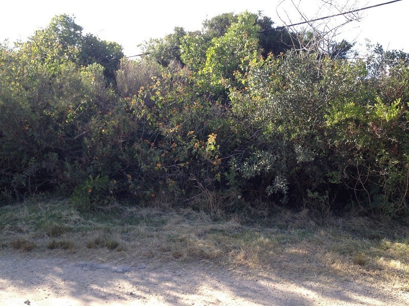 Terreno en venta en barrio privado San Vicente.