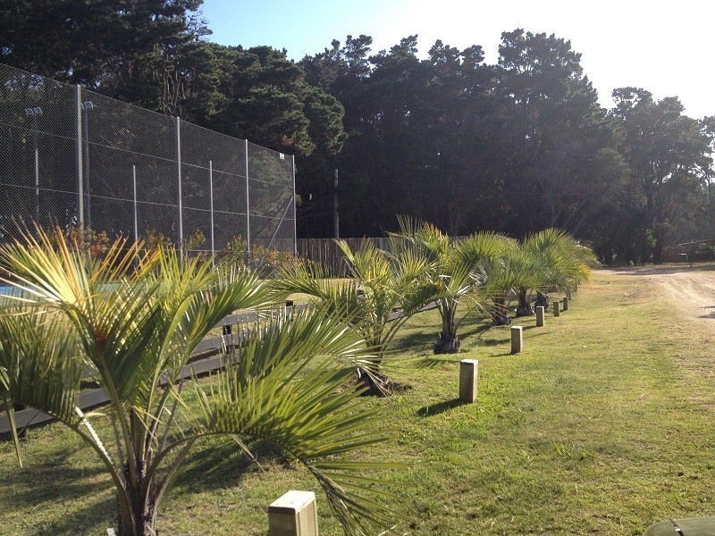 Terreno en venta en barrio privado San Vicente.
