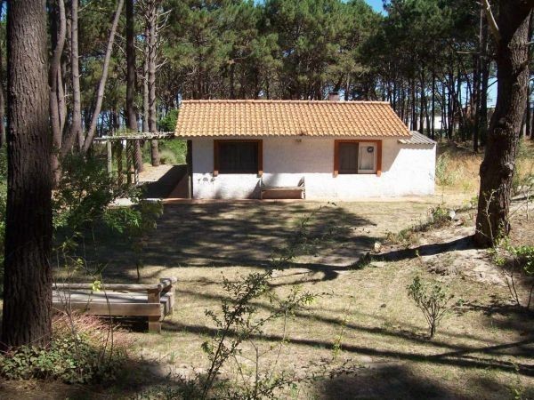 Hermoso chalet en alquiler rodeado de pinos y a poquitas cuadras del mar en Montoya, La Barra.
